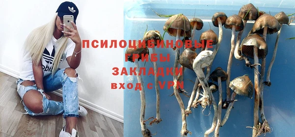 твердый Армянск