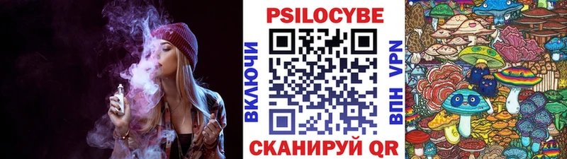 хочу   Томмот  Галлюциногенные грибы Magic Shrooms 